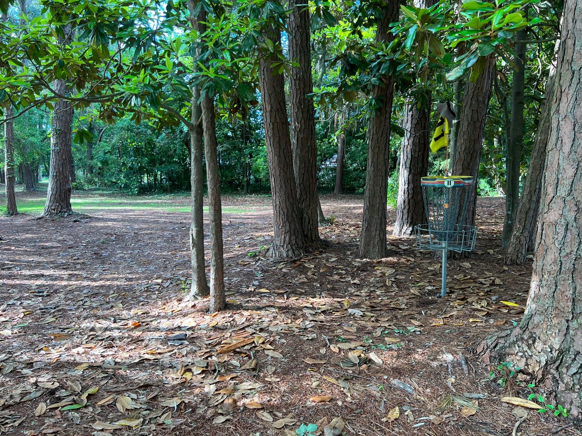 Basket 11 in the trees