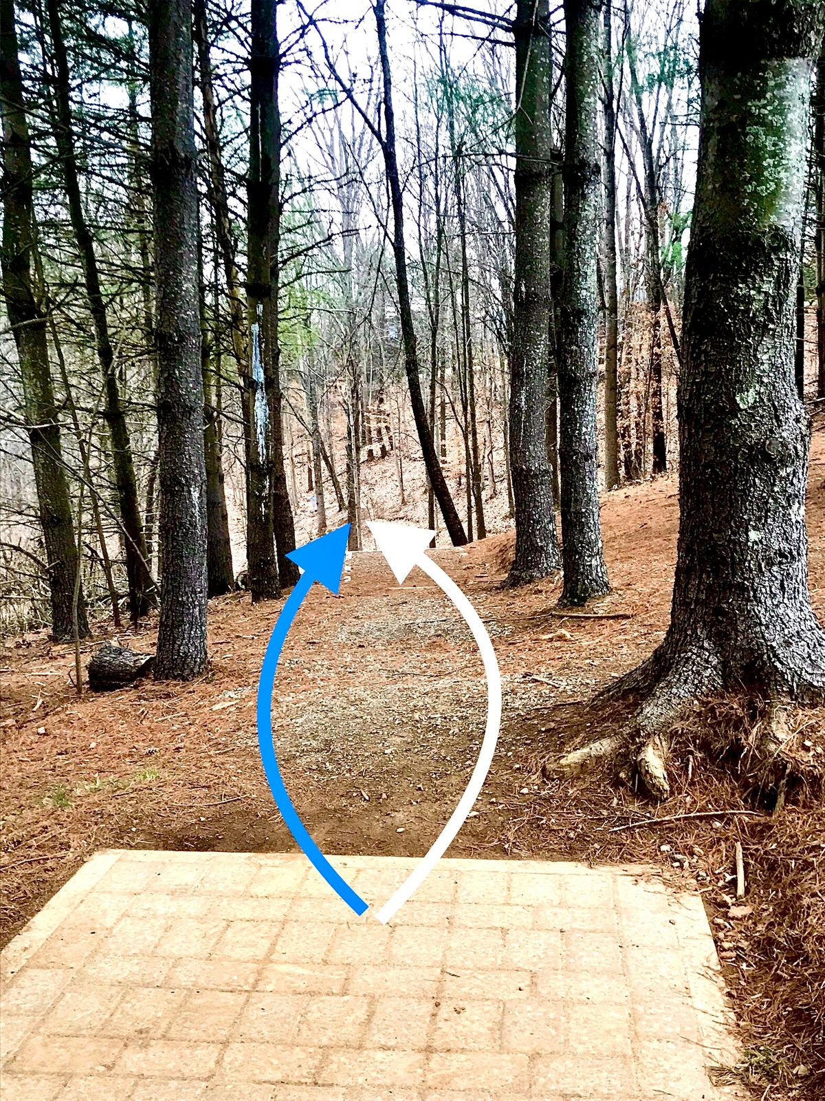 Hole #4 Tee
