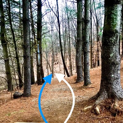 Hole #4 Tee