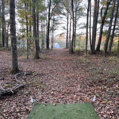 Hole 15 tee