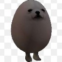 eggdog