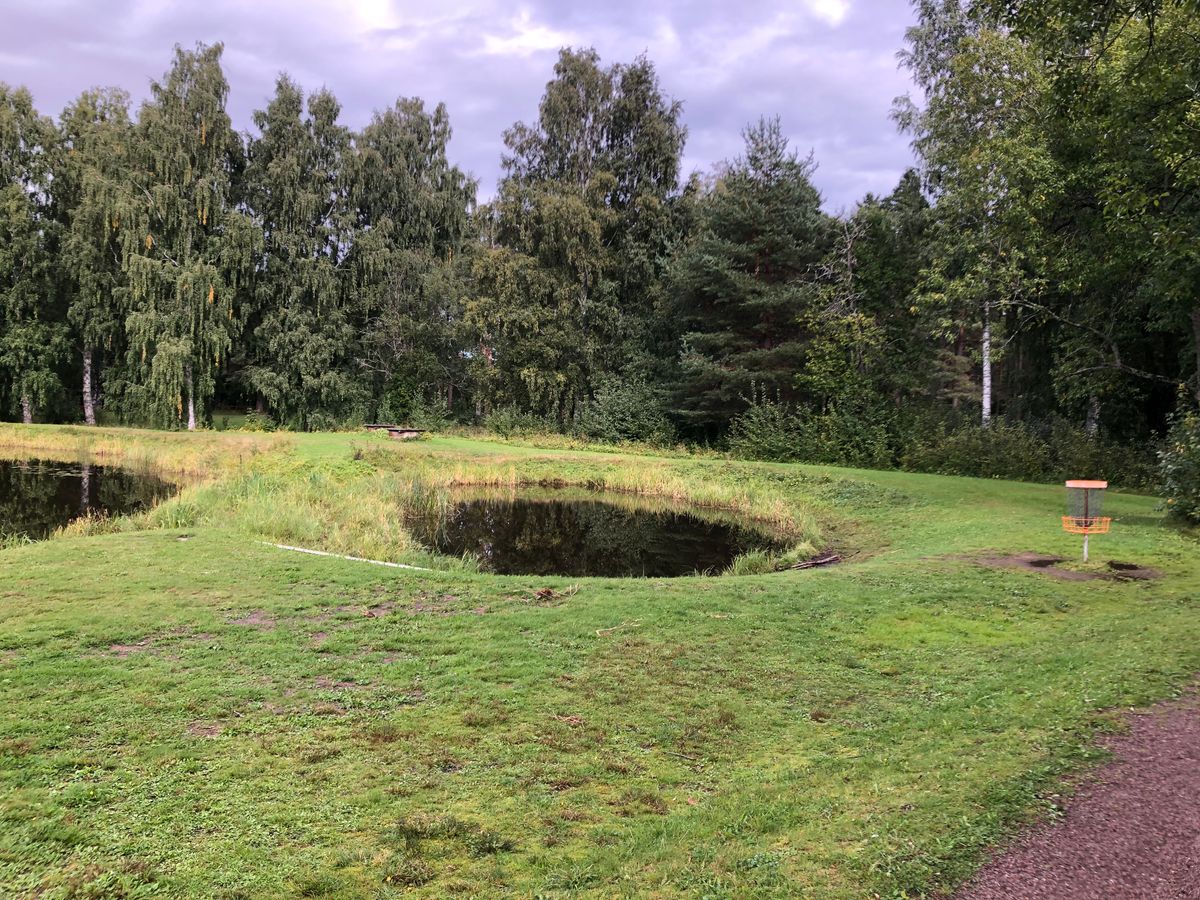 Korg på hål 18