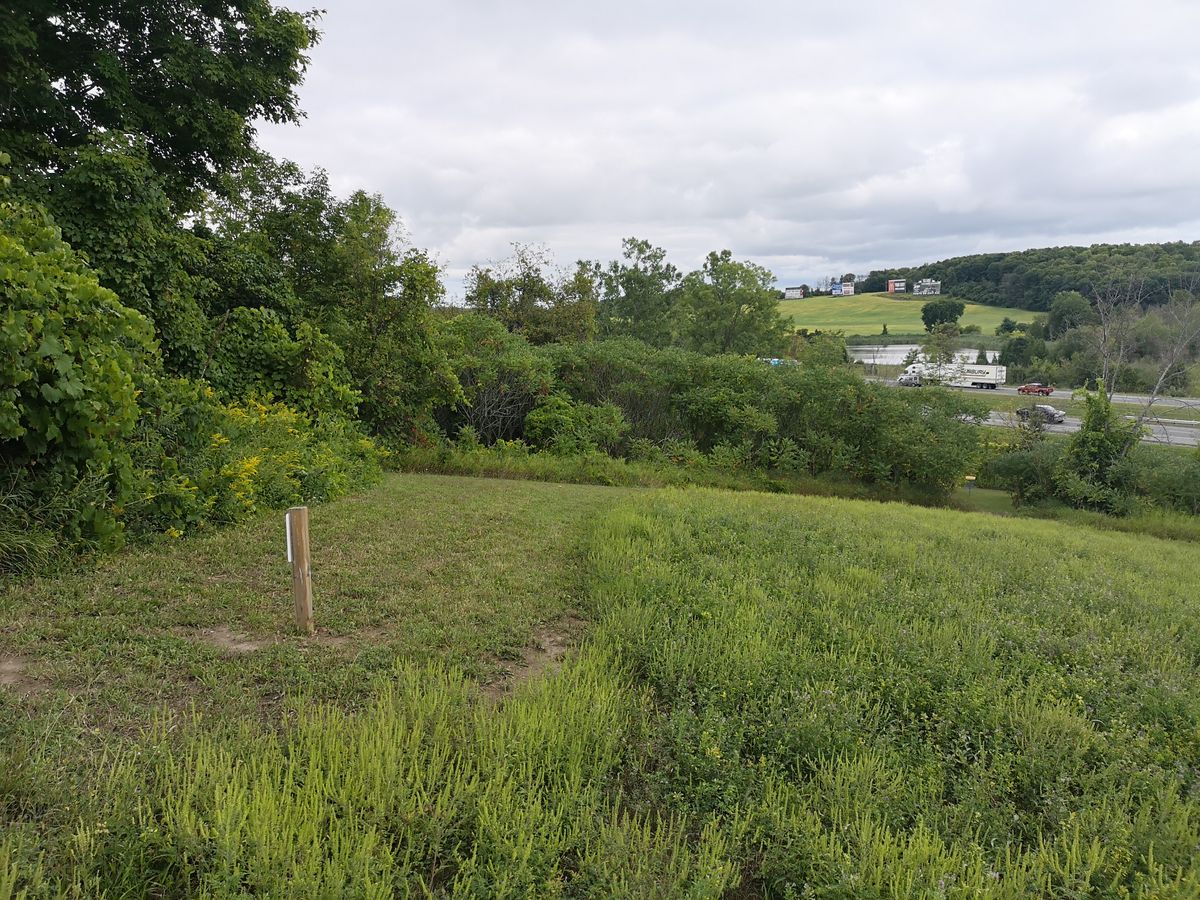 Hole 5