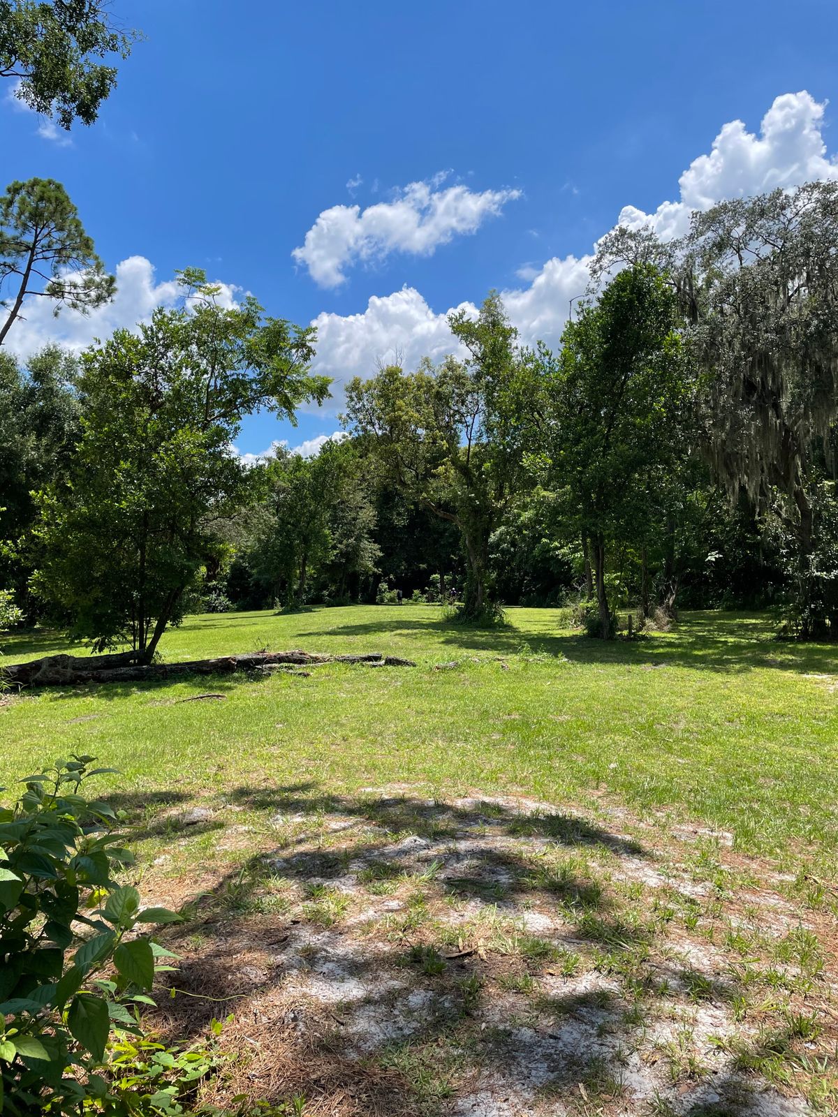Hole 13