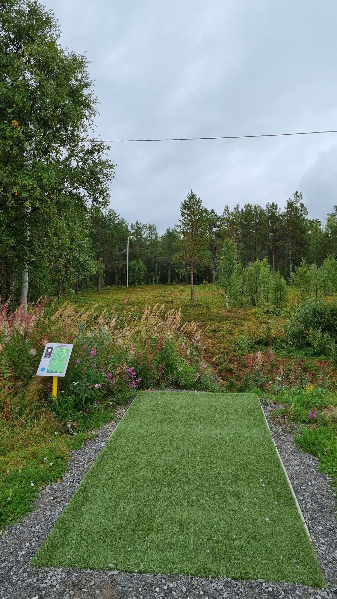 Tee 12