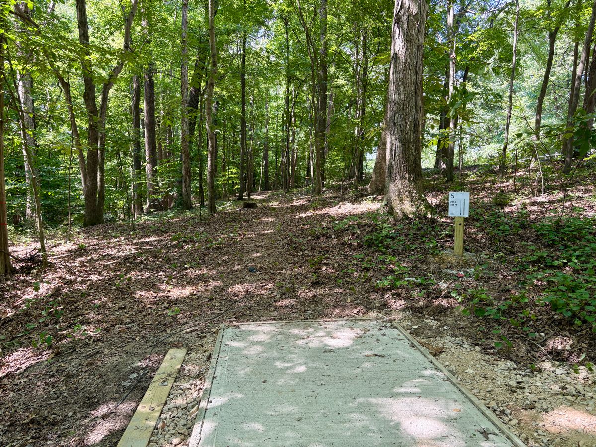 Hole 5 tee