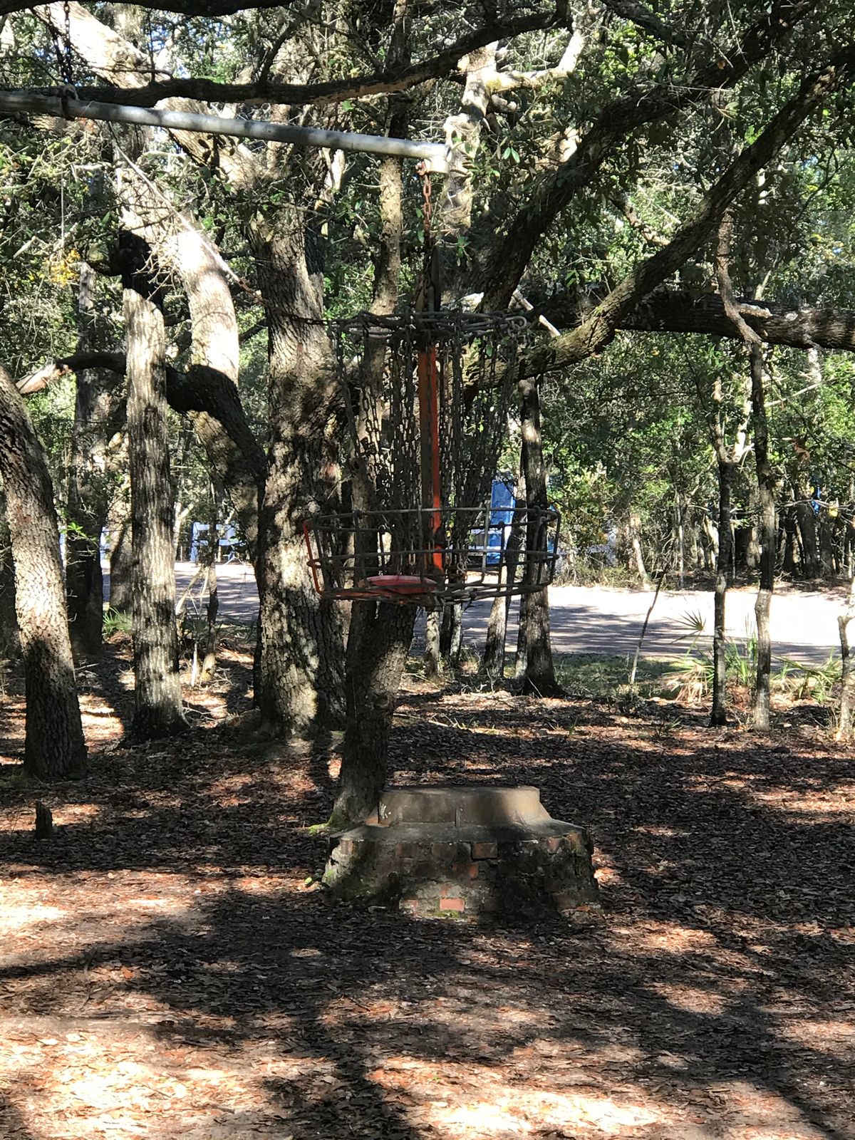 Hanging basket on hole 16