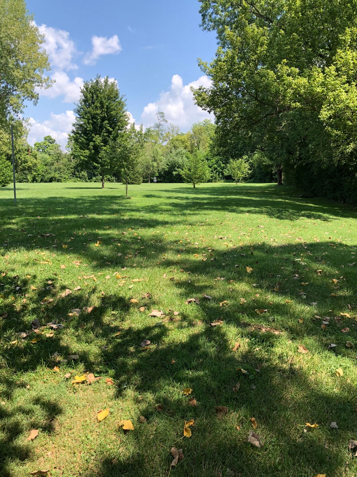Tee 1: tetherball pole