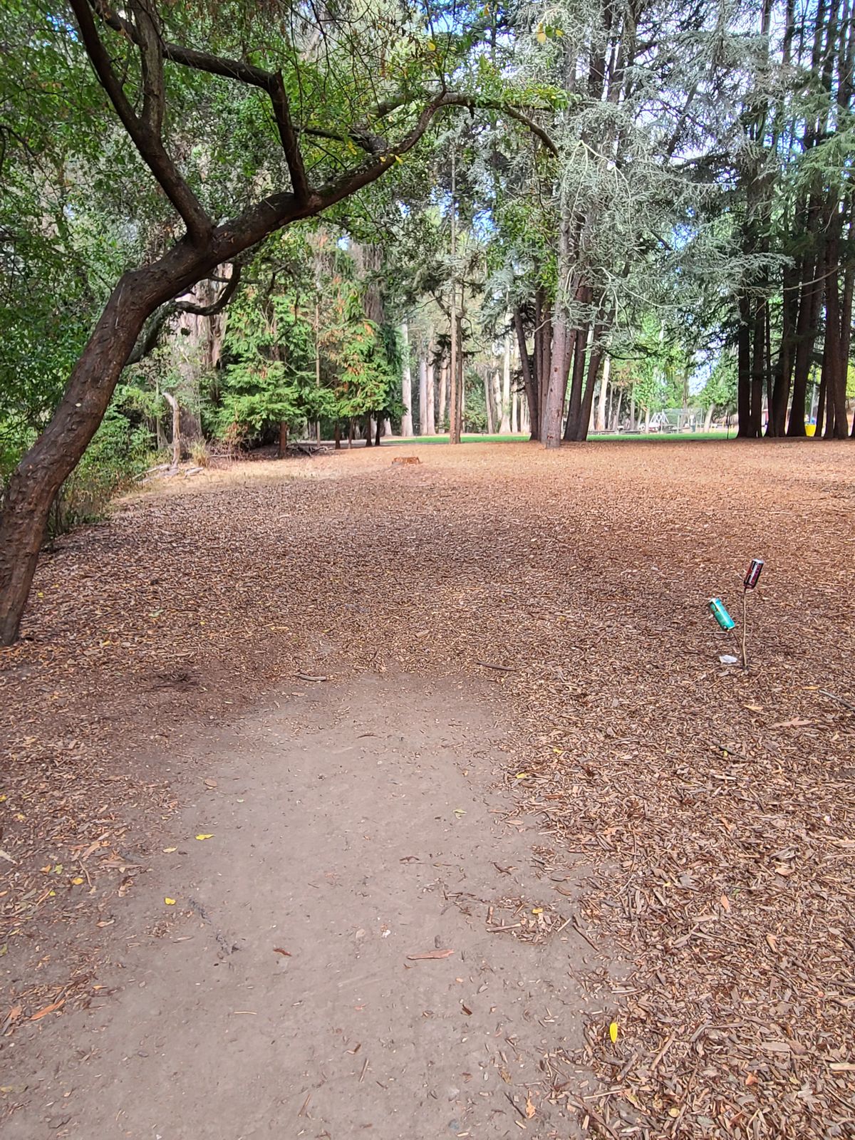 Tee pad on 7 through the trees