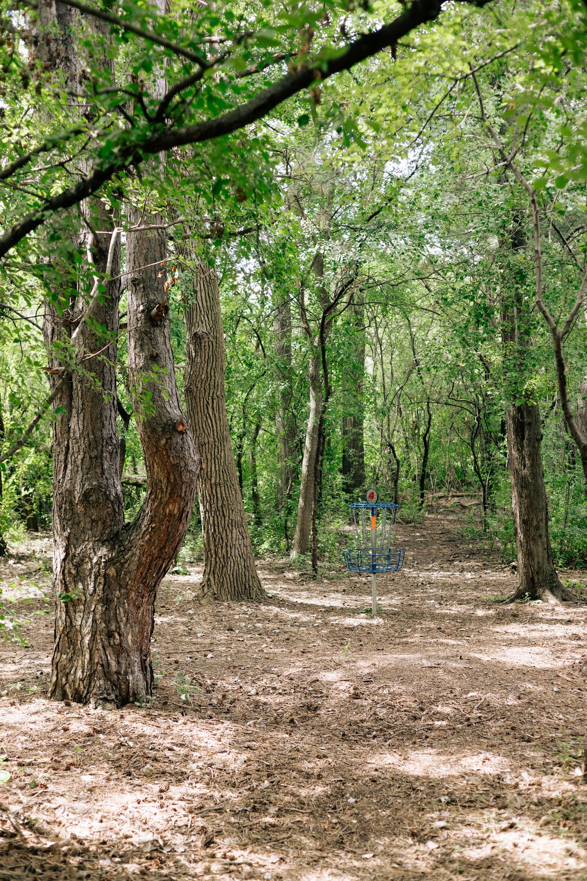 Hole 4