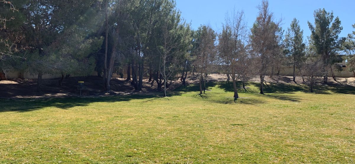 A look at hole 2 & 3 from open field.