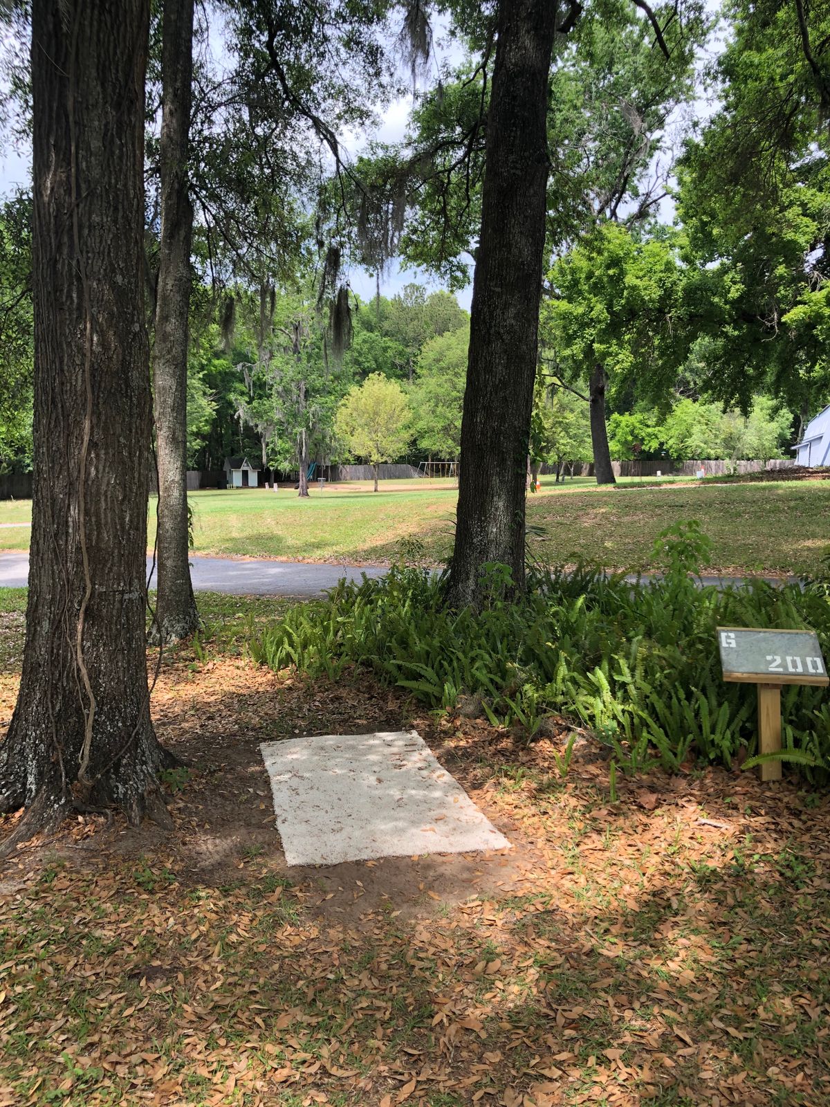 Hole 6, tee to basket