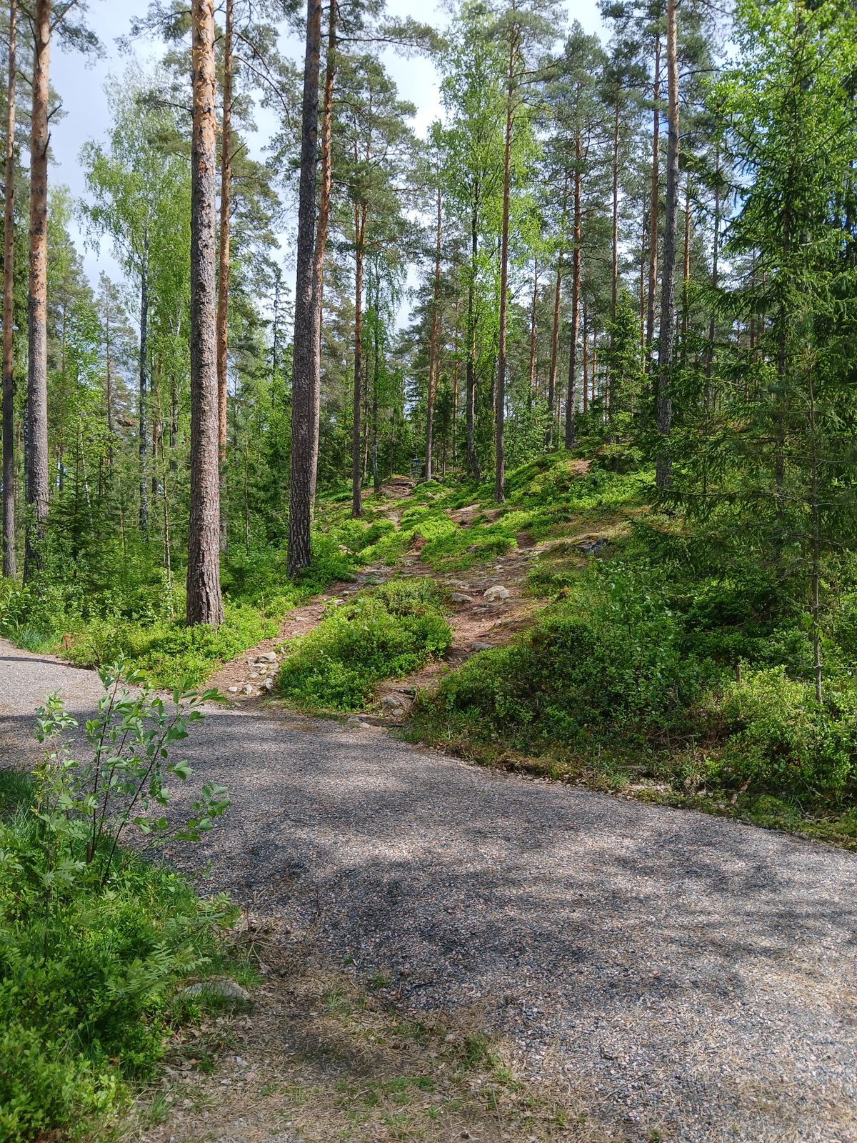 Väylä 5