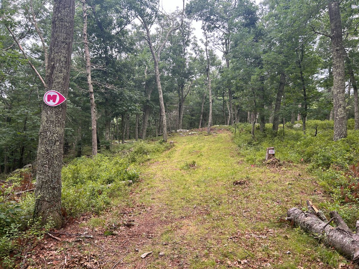 Mando and drop zone on hole 3