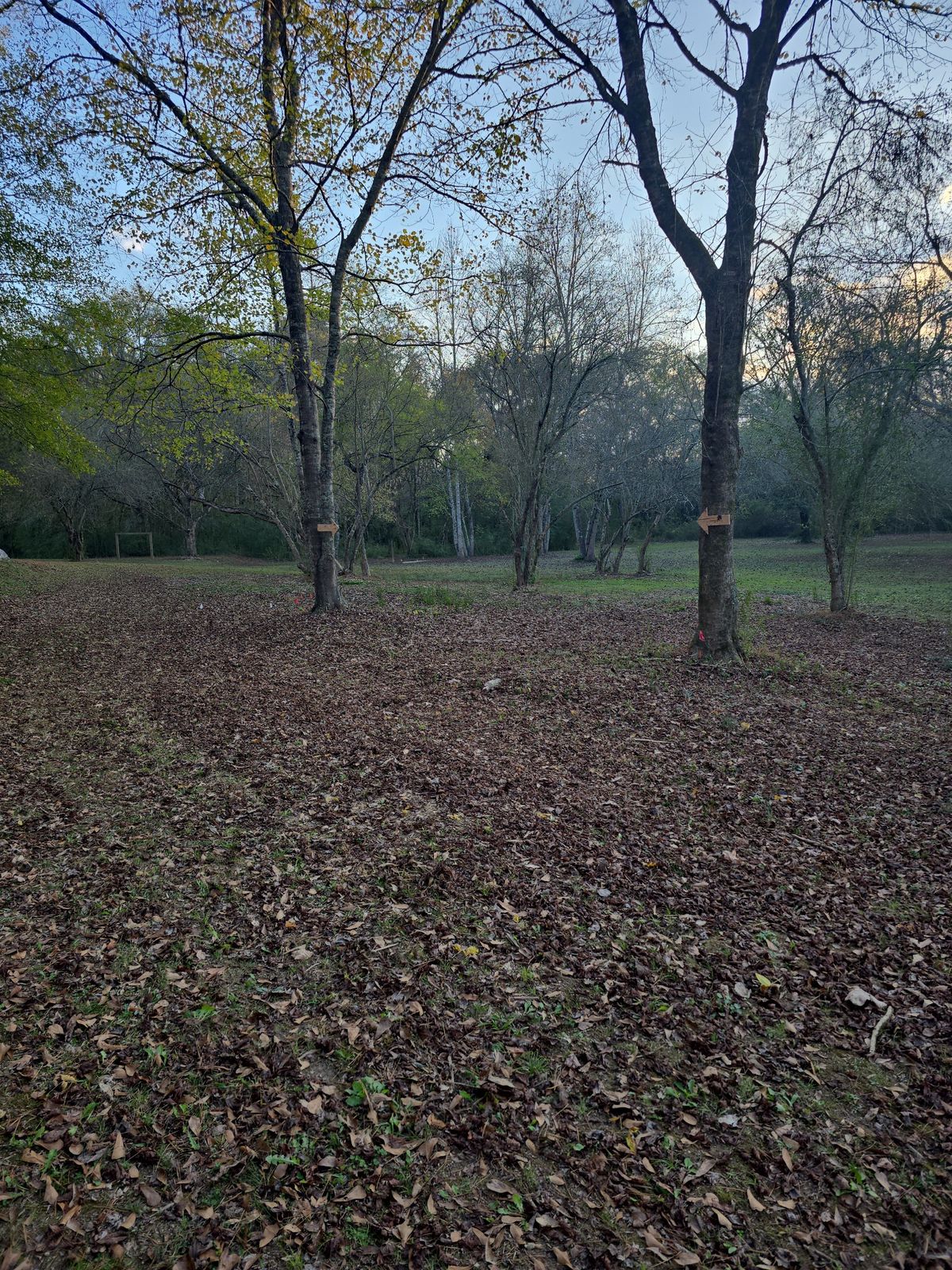 Hole 12 double mando