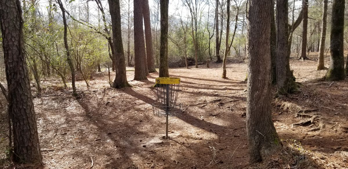 Hole 15 Green (B Pin Location)