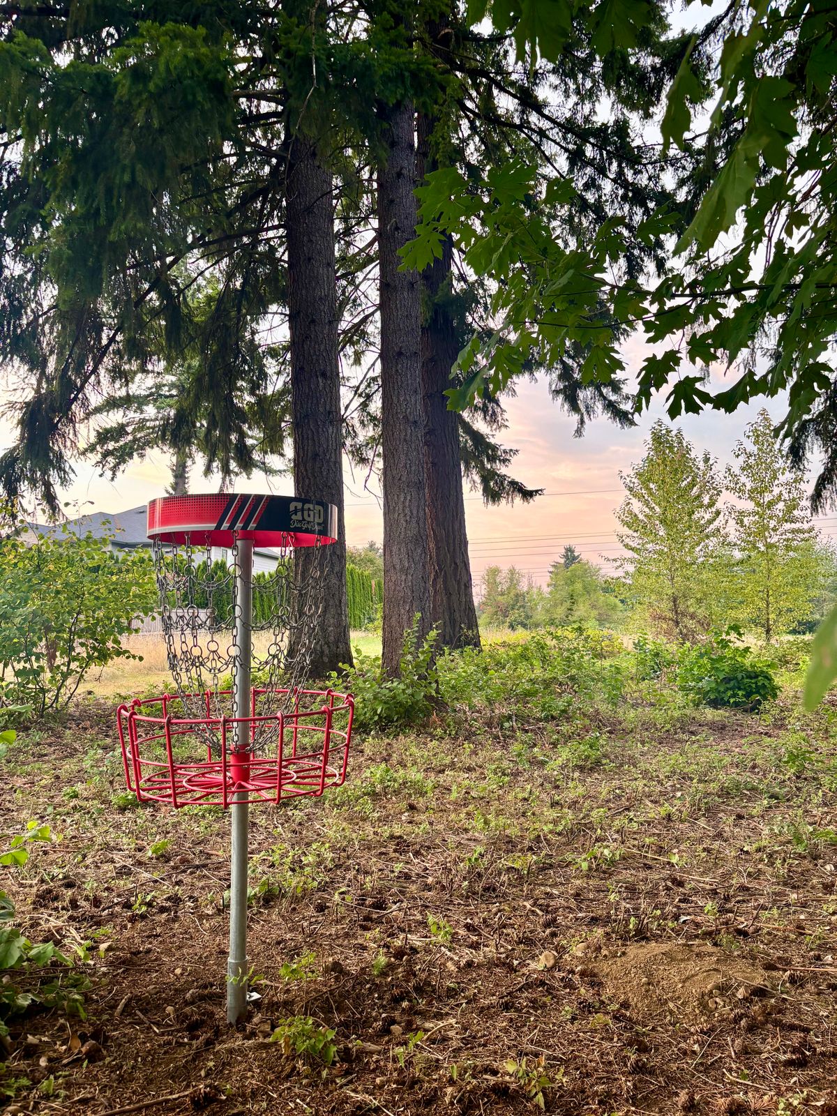 Hole 2 From Basket