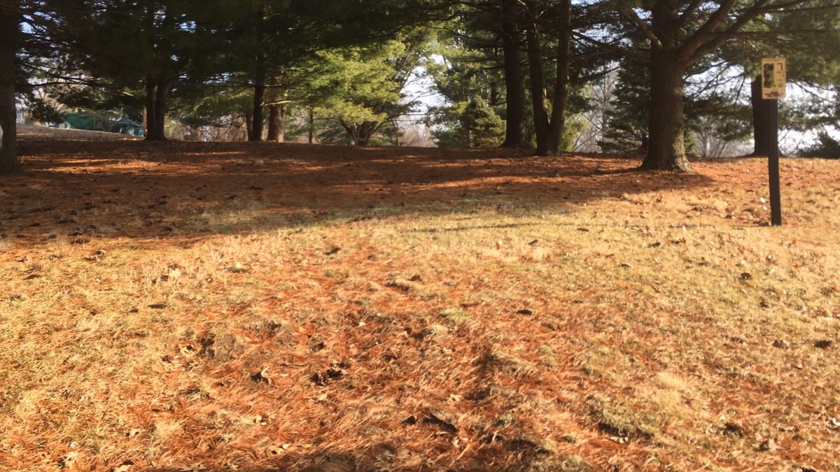 Hole 7