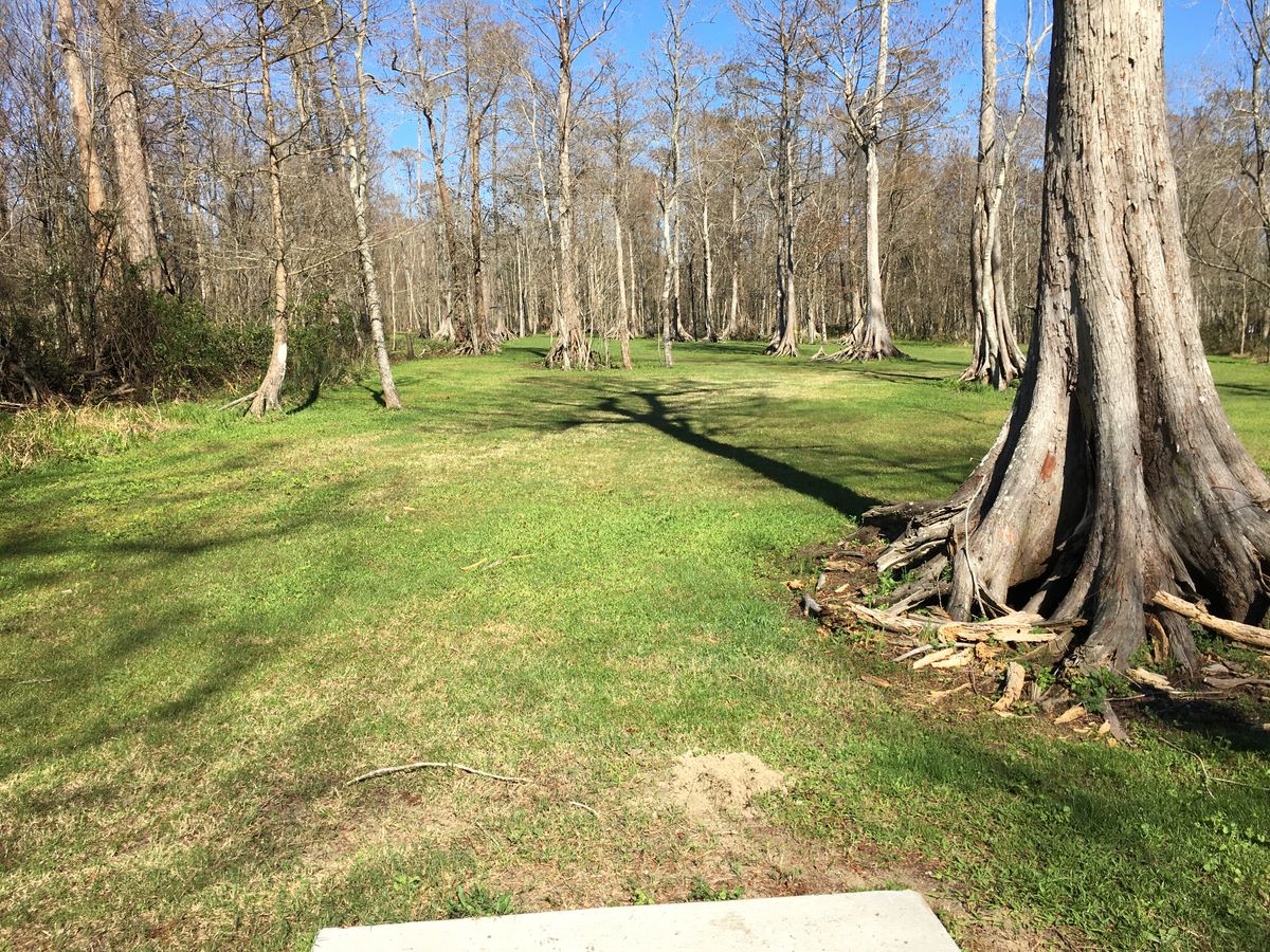 Hole 2 Red Tee