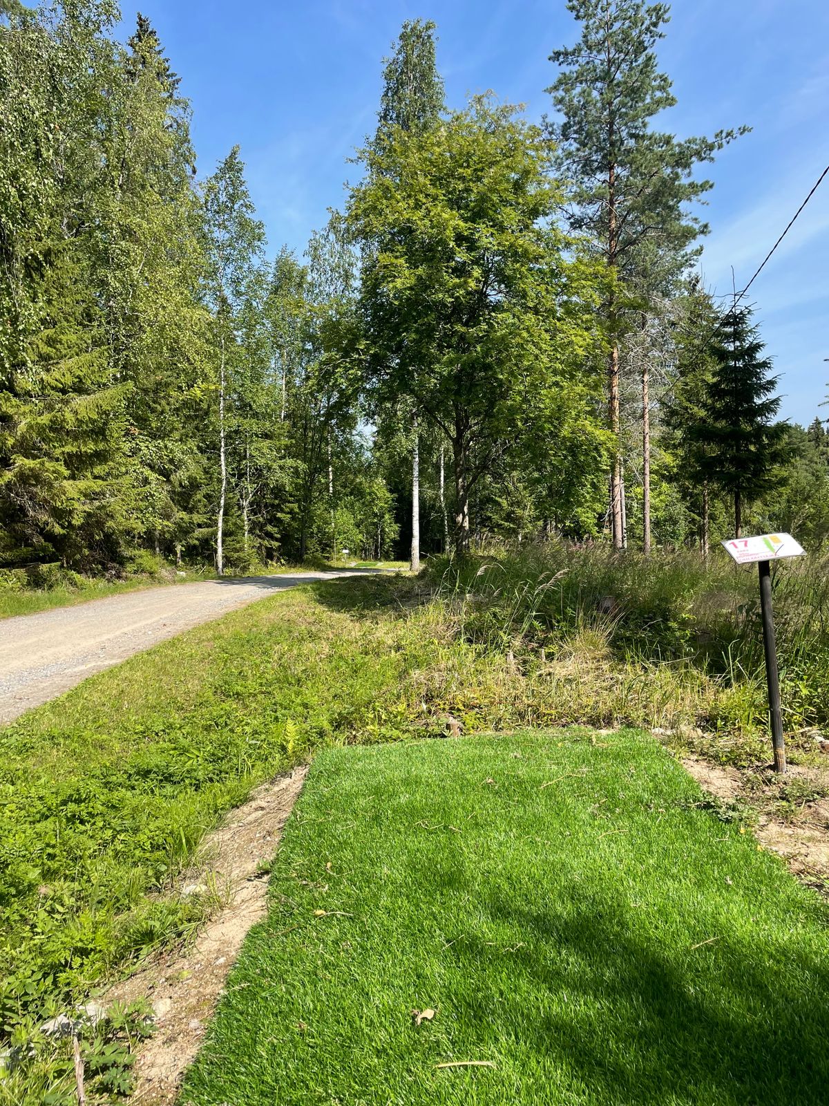 väylä 17 todella tiukka alamäkiväylä
