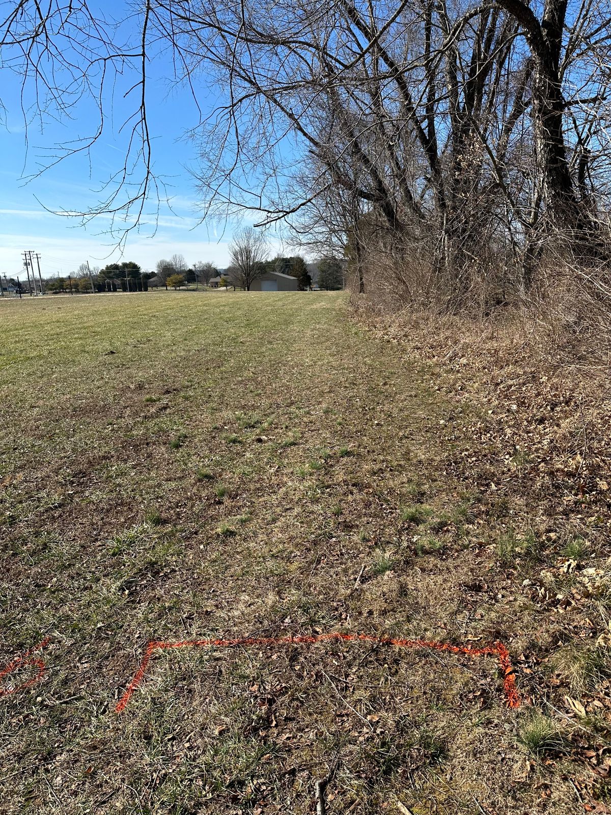 #6 tee