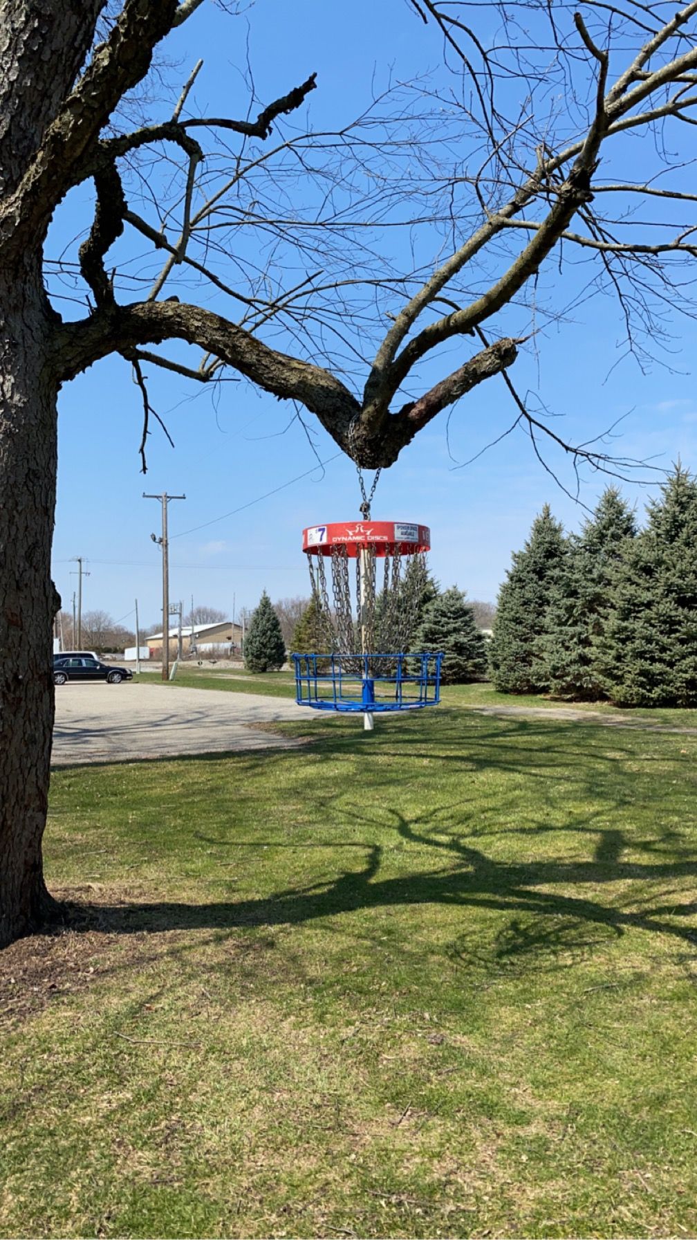 Basket for Hole 7