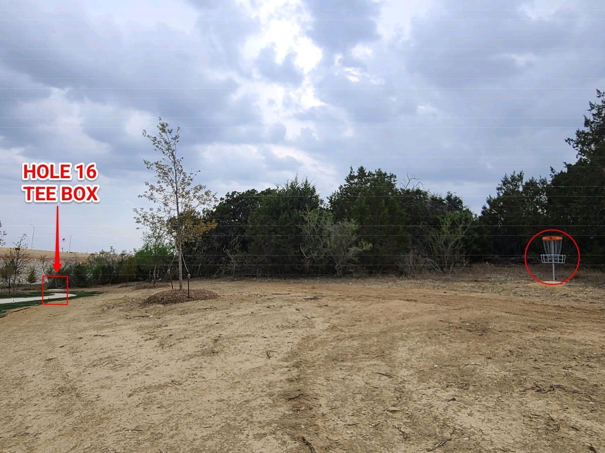 View from basket toward tee box showing pin placement behind bushes. 