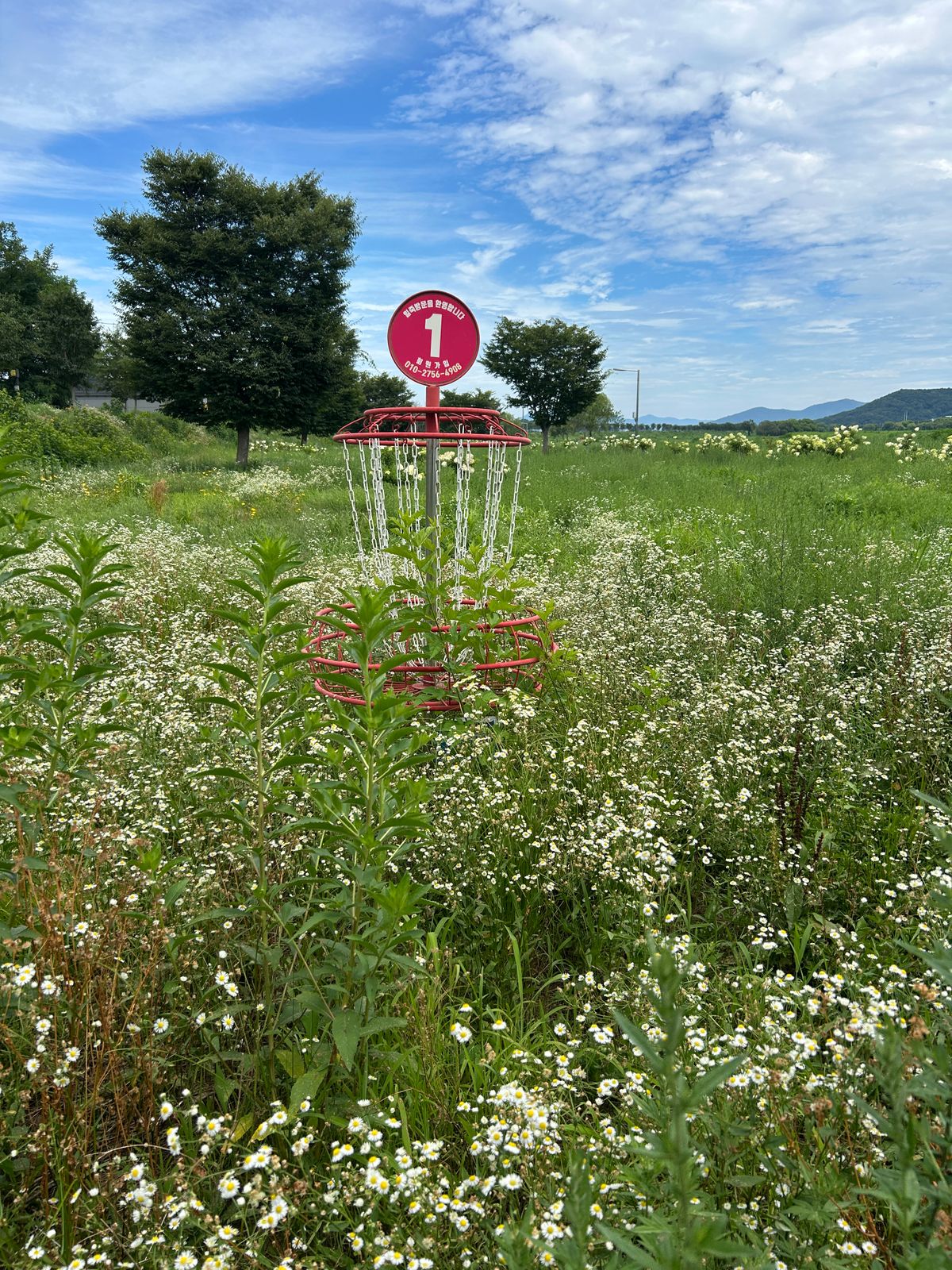 Badly overgrown - not maintained. Can’t even find some of the baskets, and none of the tees.