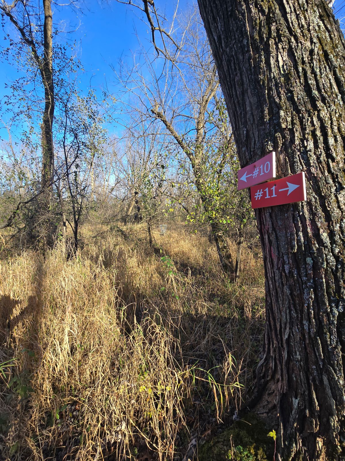 Some basket/tee signs but that is an avg fairway/green now