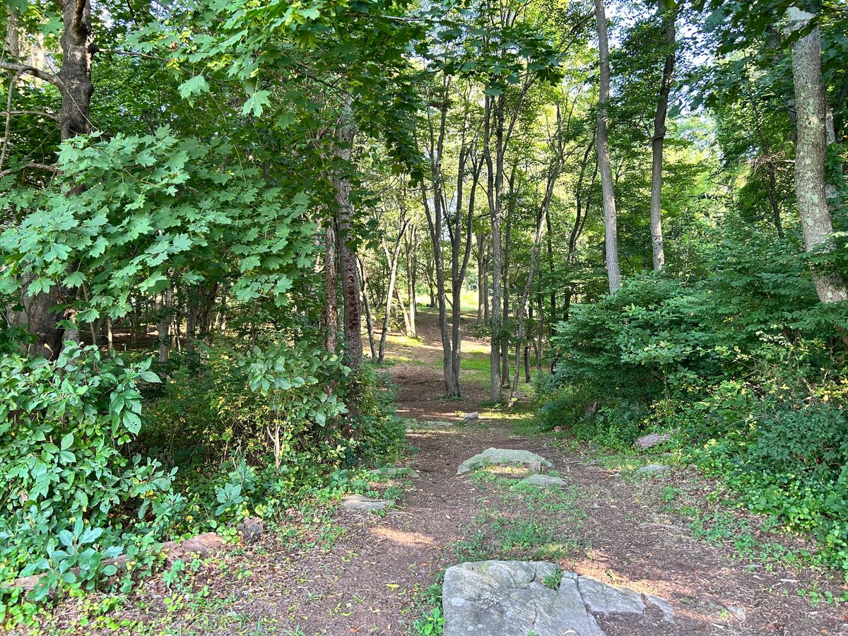 Hole 12