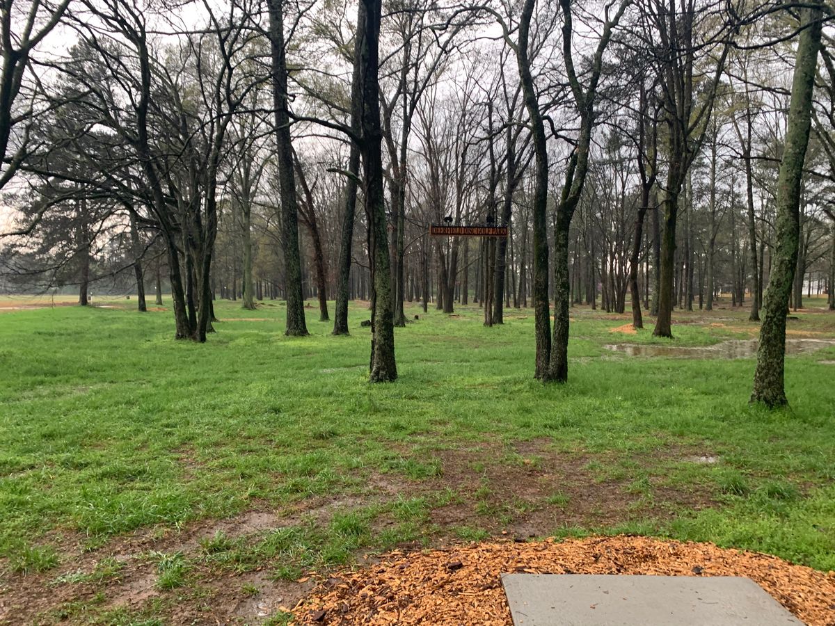 Hole 1 pad