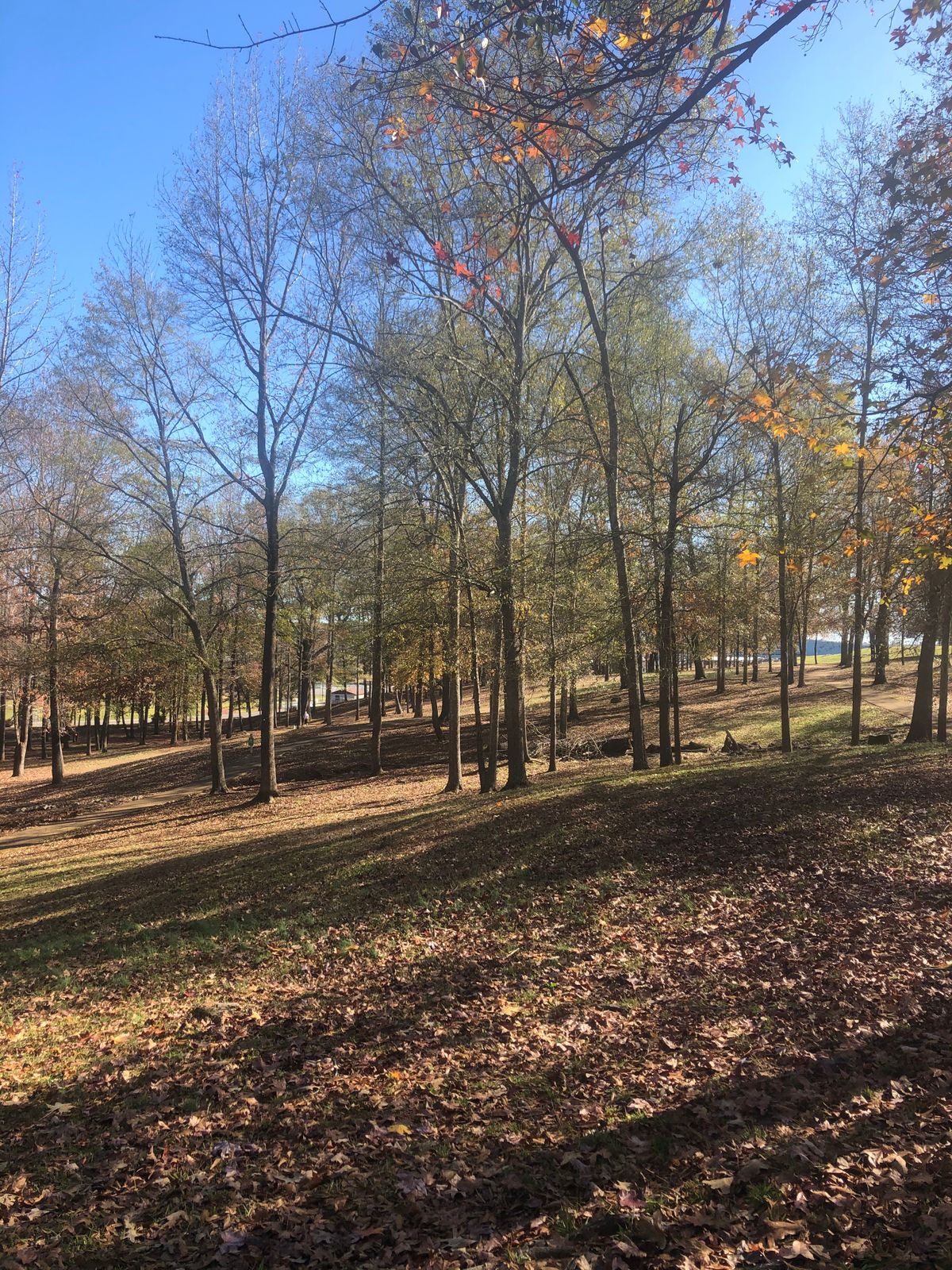 Hole 17