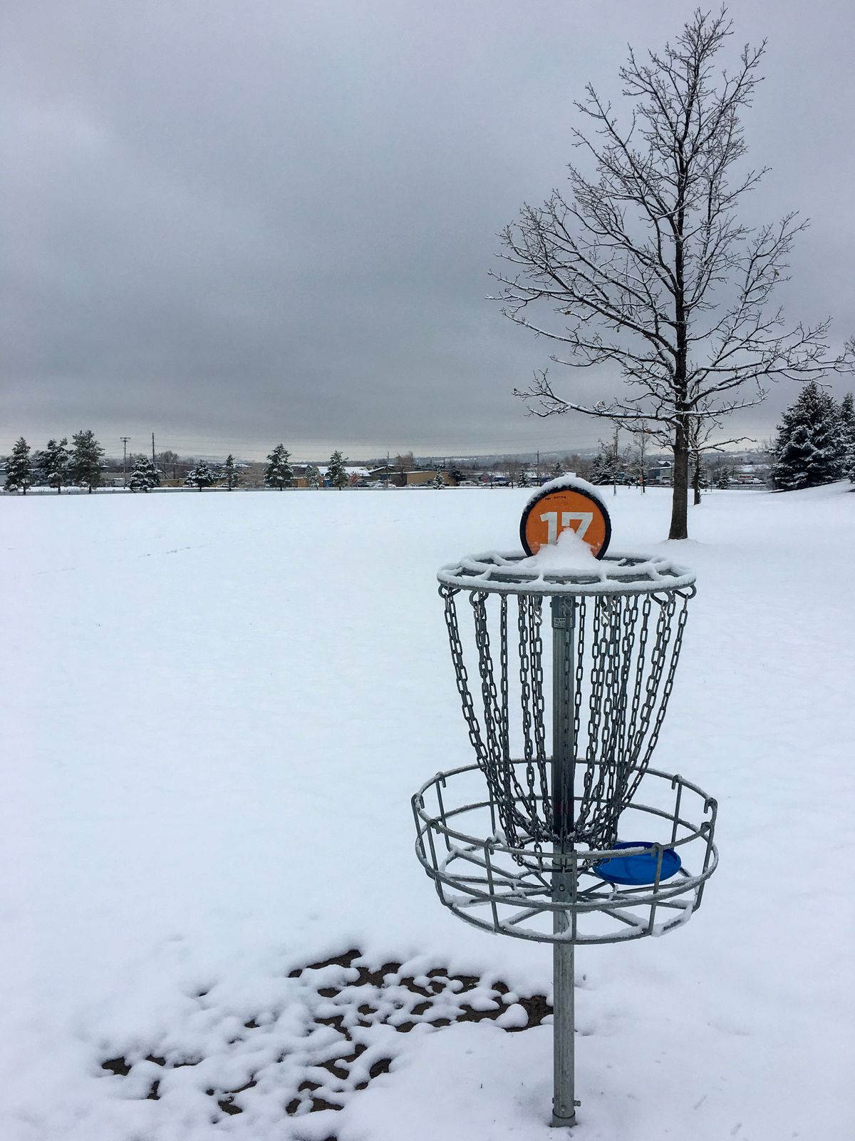#17 on 11/22/2019