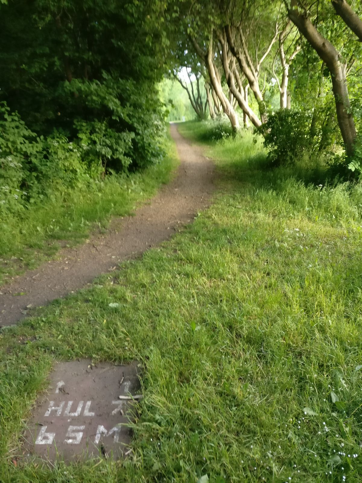 Hole 7