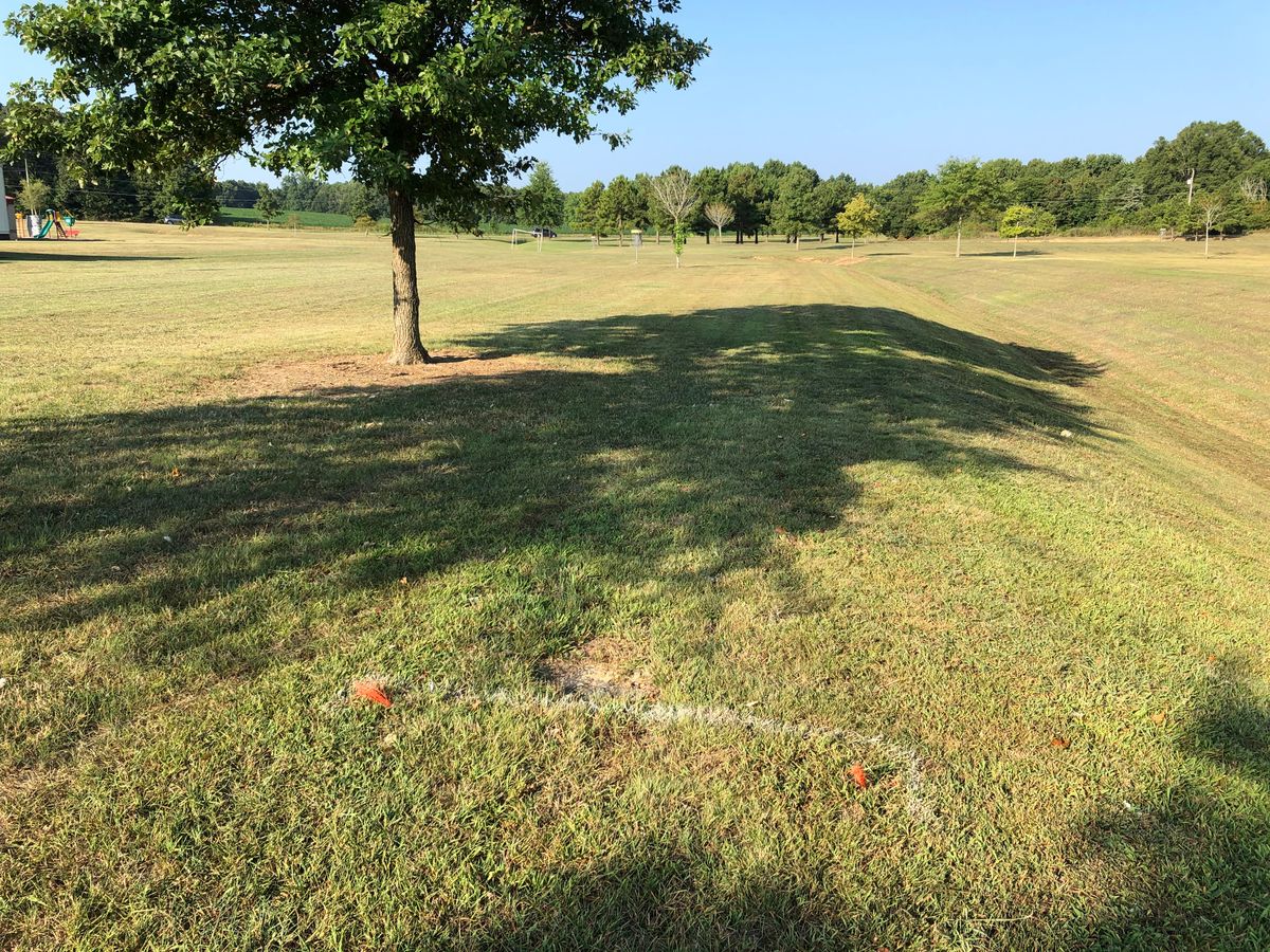 #2 tee