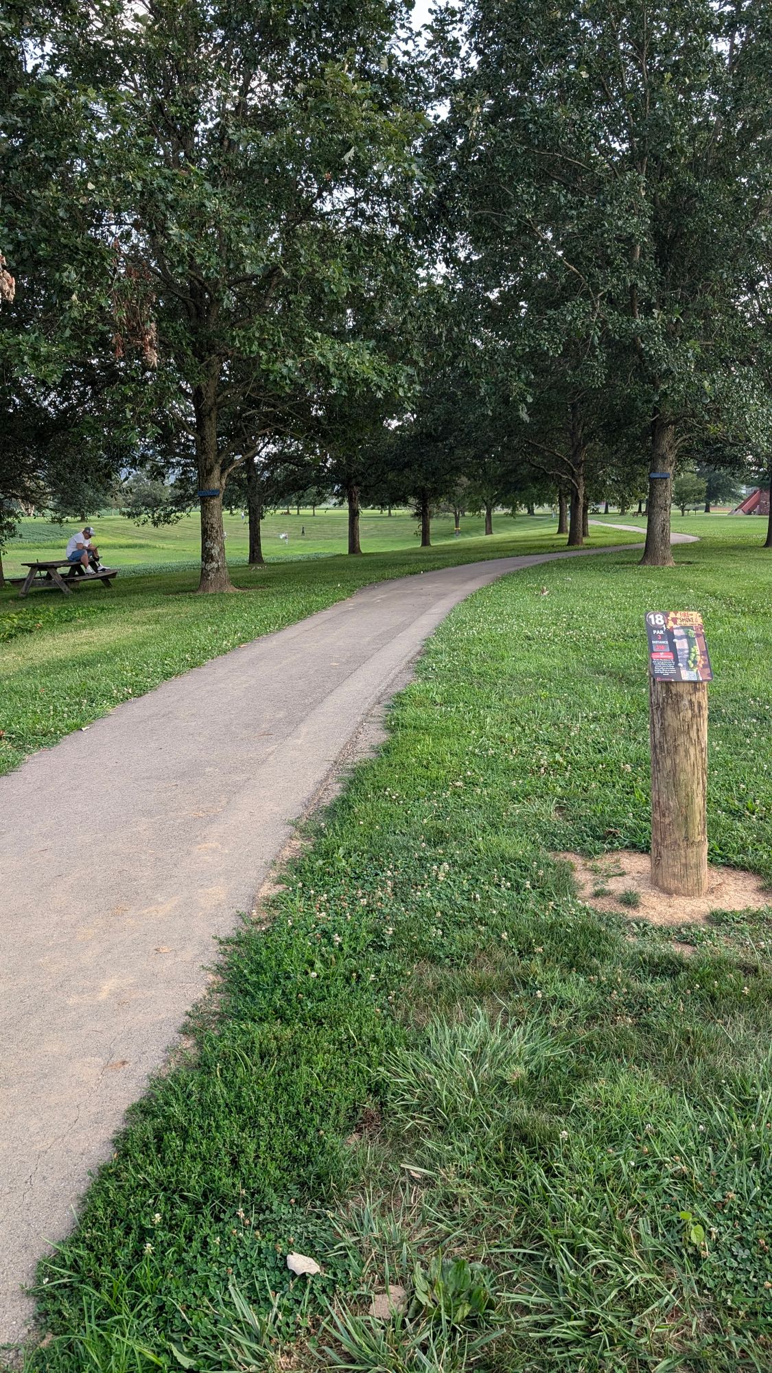 Hole 18 tee