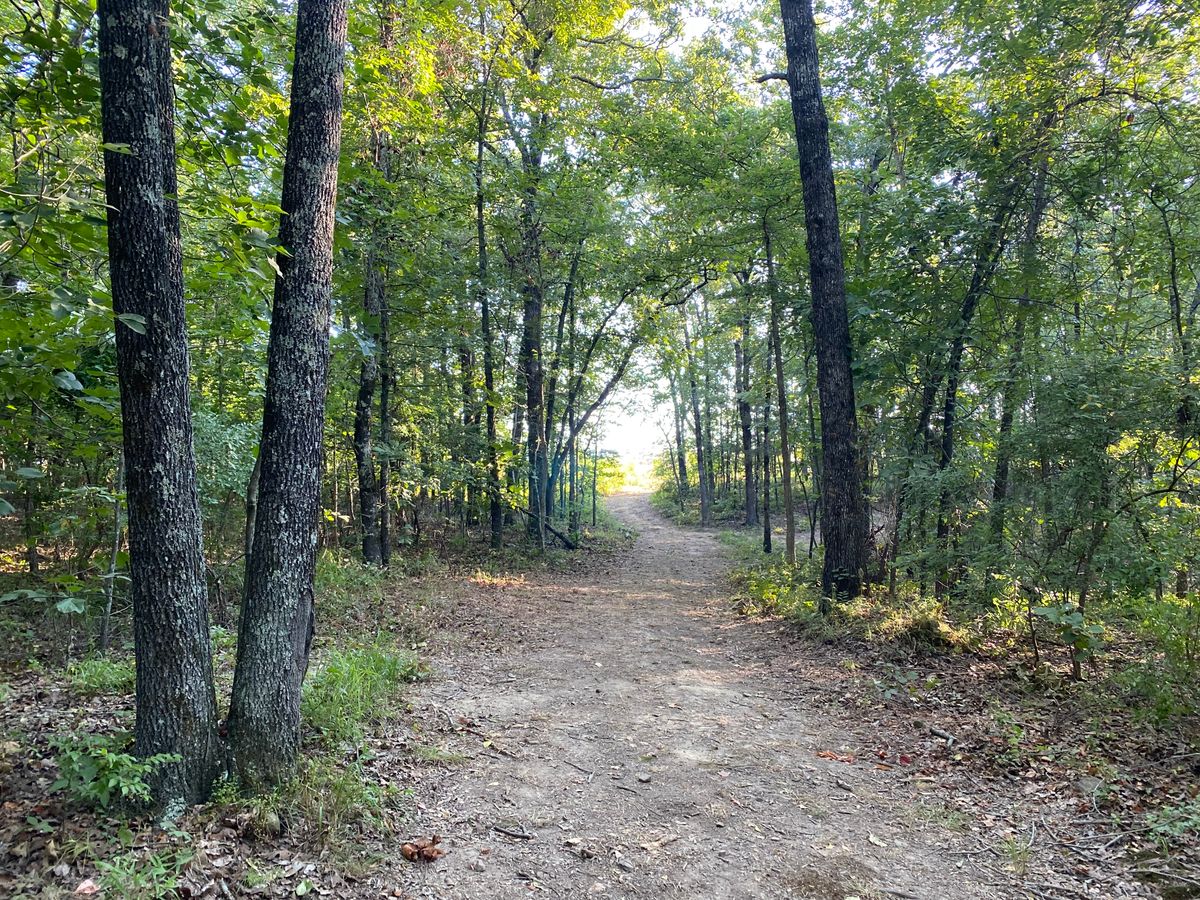 Hole 11 fairway first gap. Notice the fairway cuts right for right pin placement