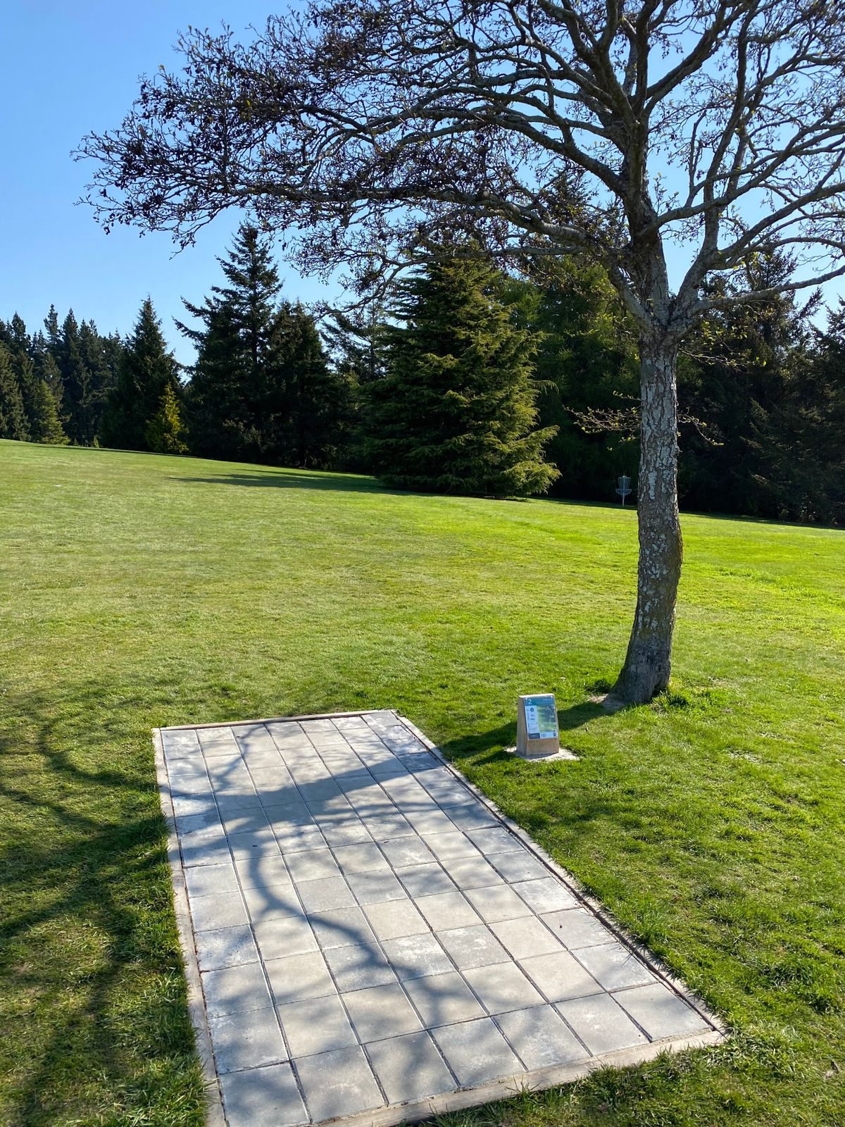 "Do the Disc-go" named by Blake aged 8 is a long shot towards the bright green tree and turn right OR try to hit the gap in the trees.