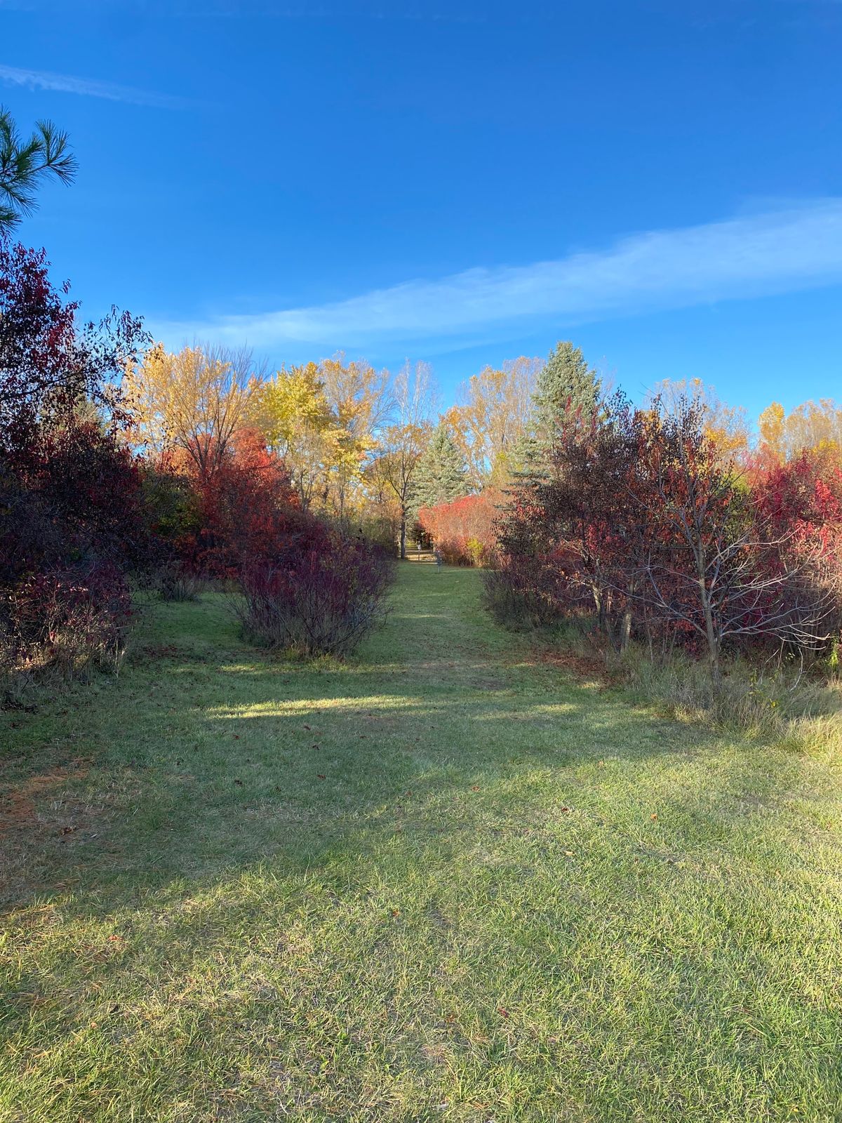 Hole 7 from fairway