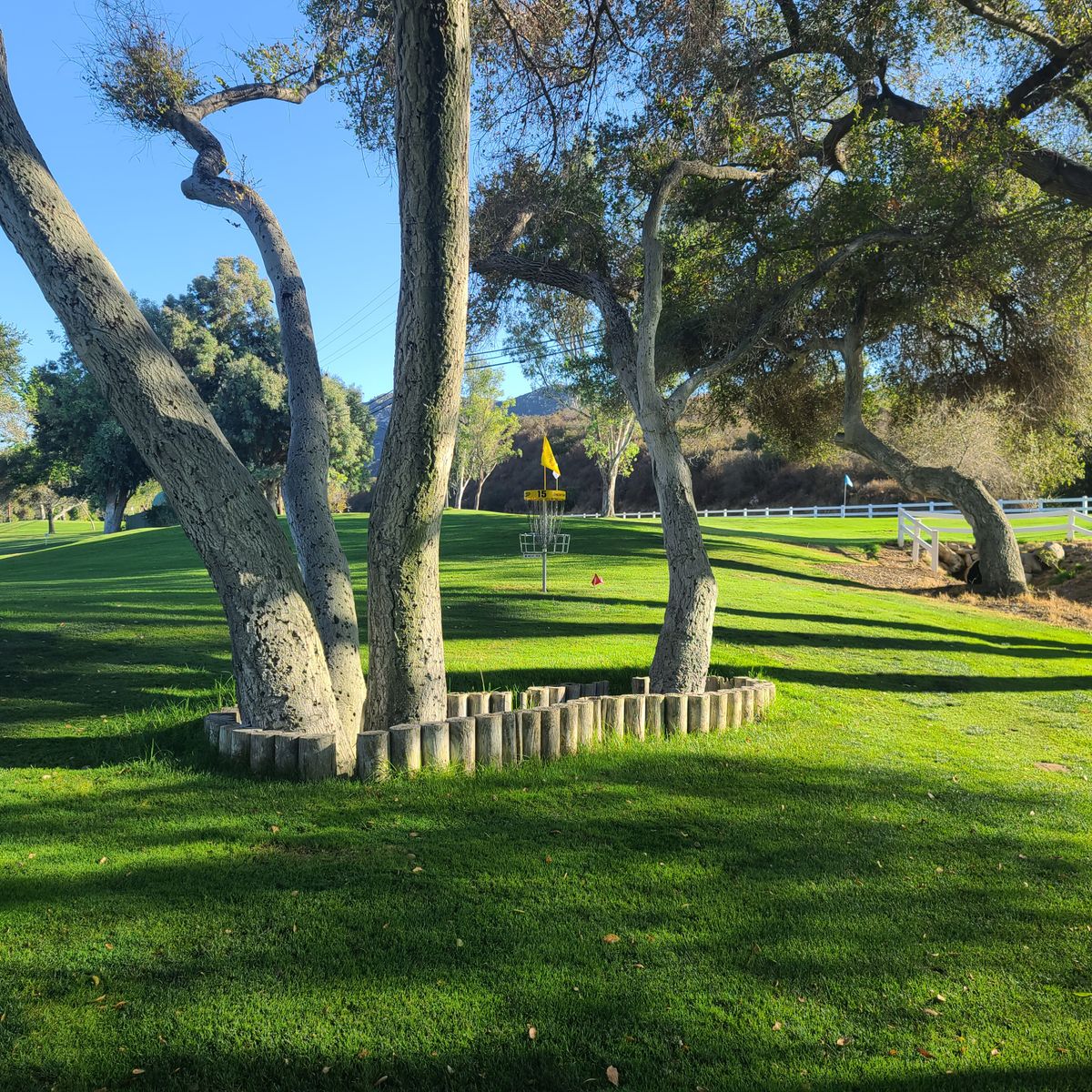 Hole 15 - B position