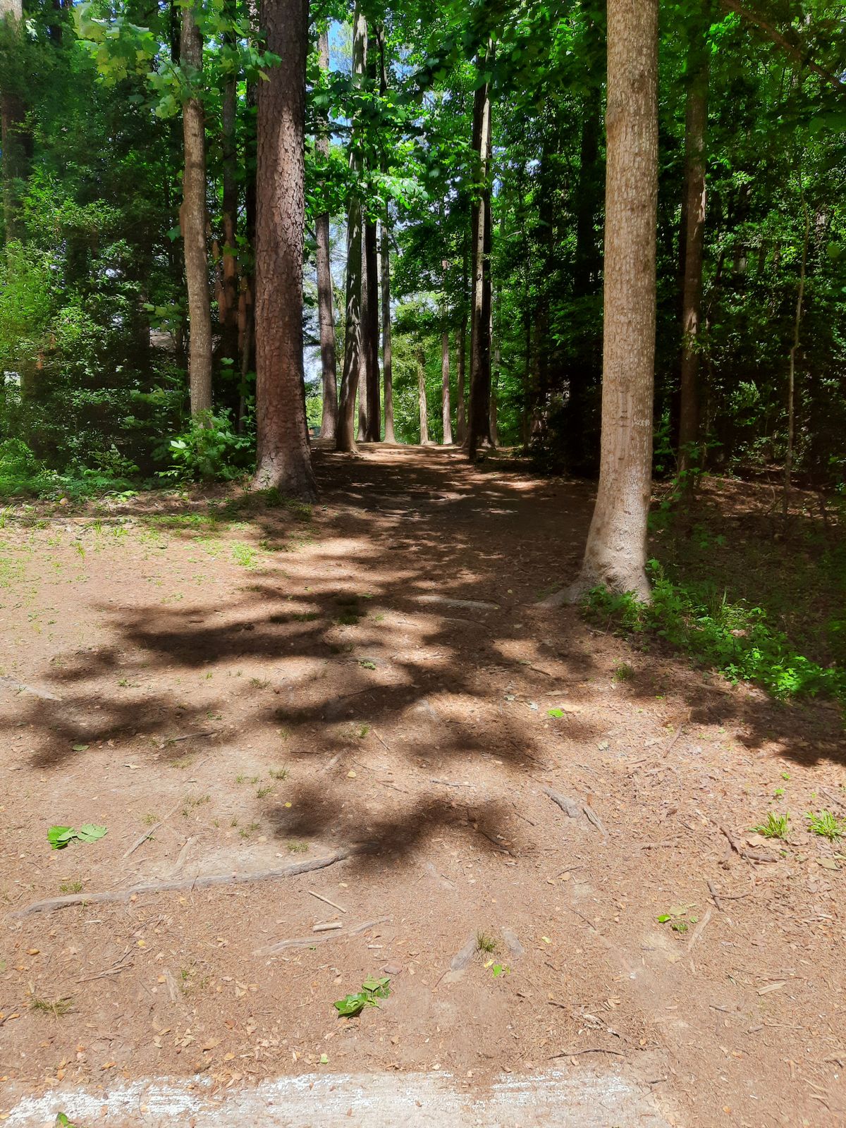 Hole 3 White Tee