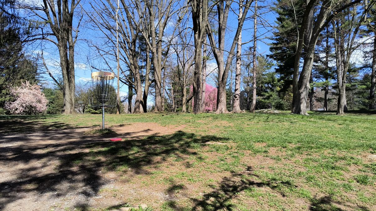 Hole 5