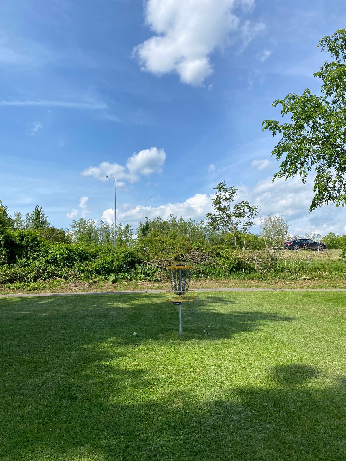 Hole 12 basket