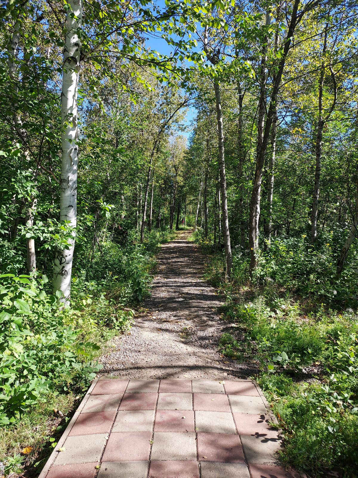 Hole 1 Long Teepad