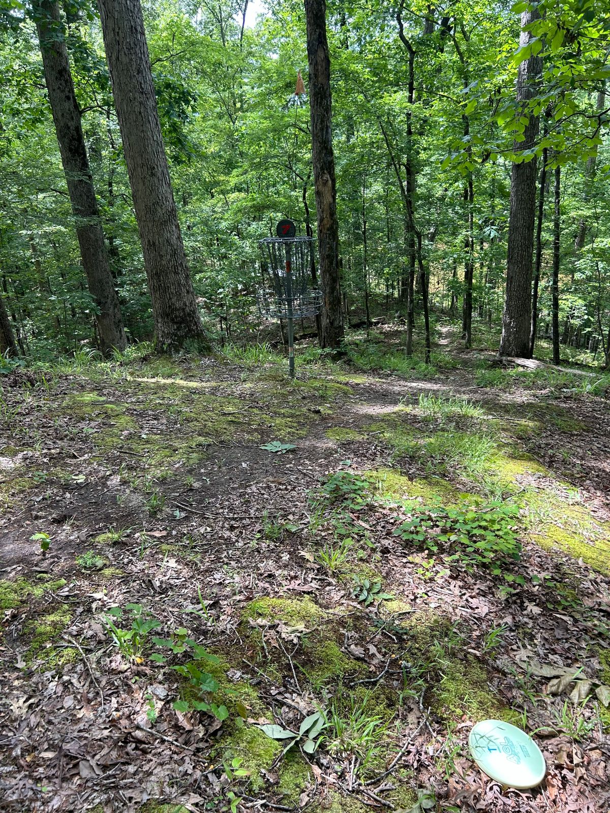 Treacherous green on #7
