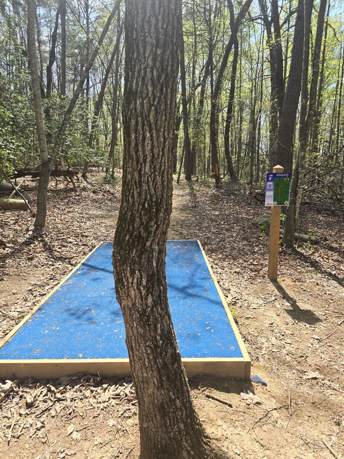 Hole 7 Tee