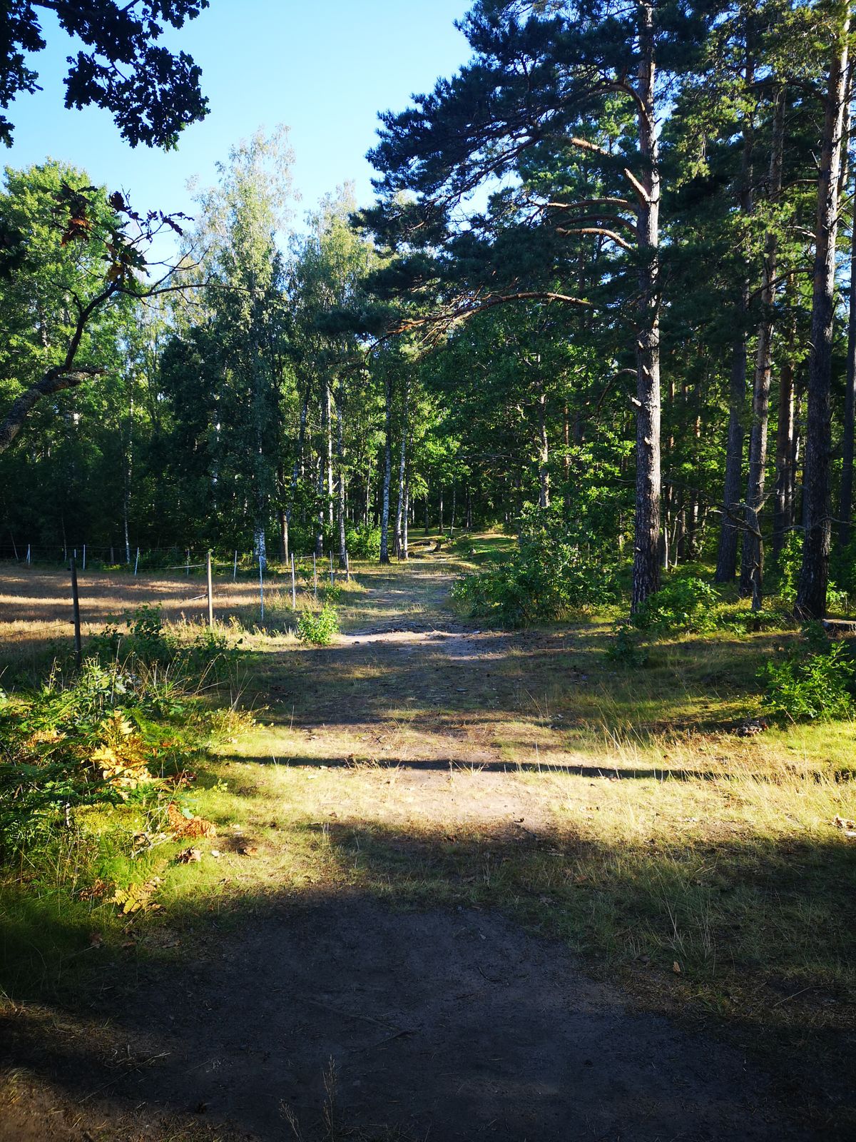 Tee 8