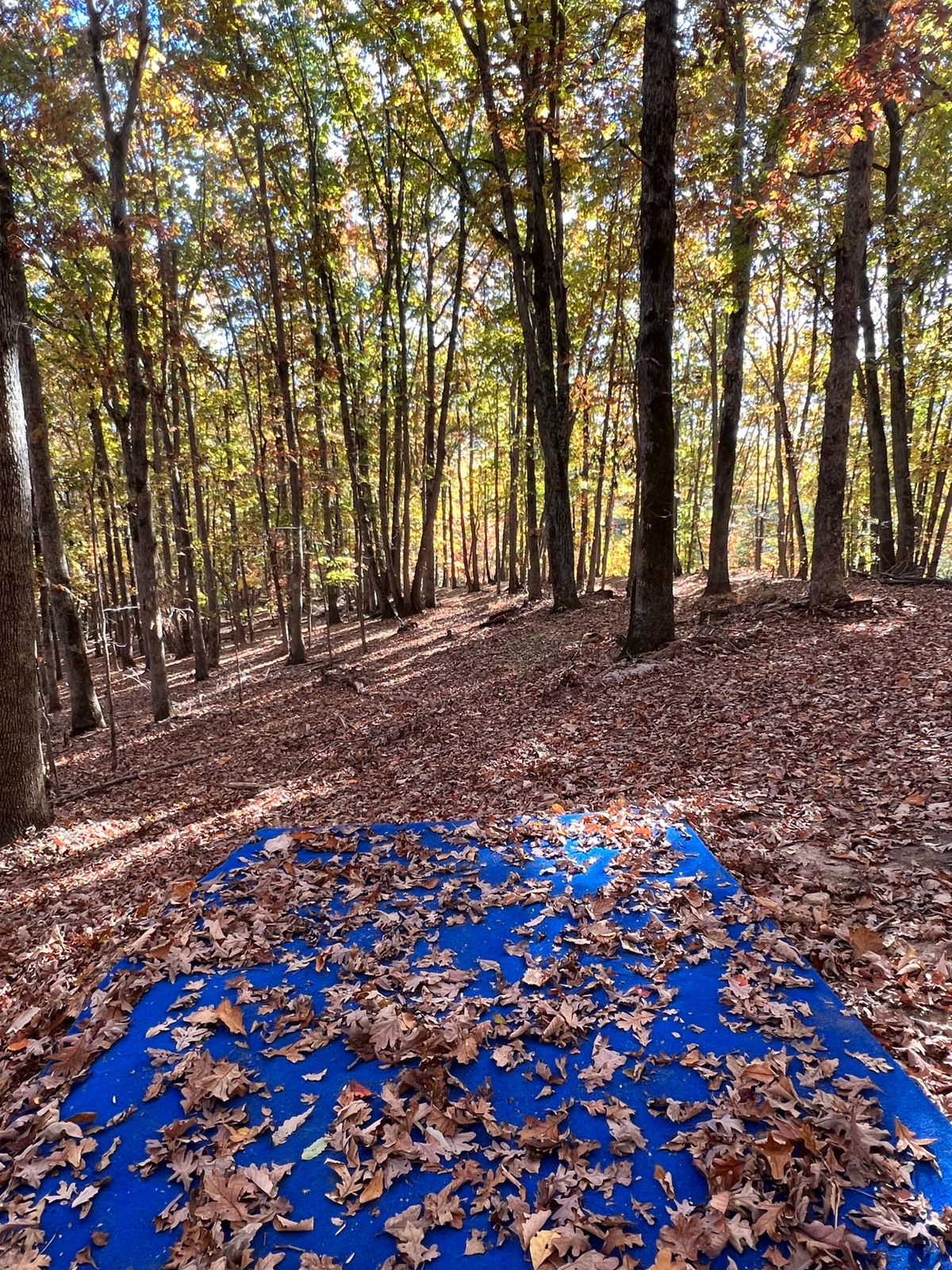 Hole 3