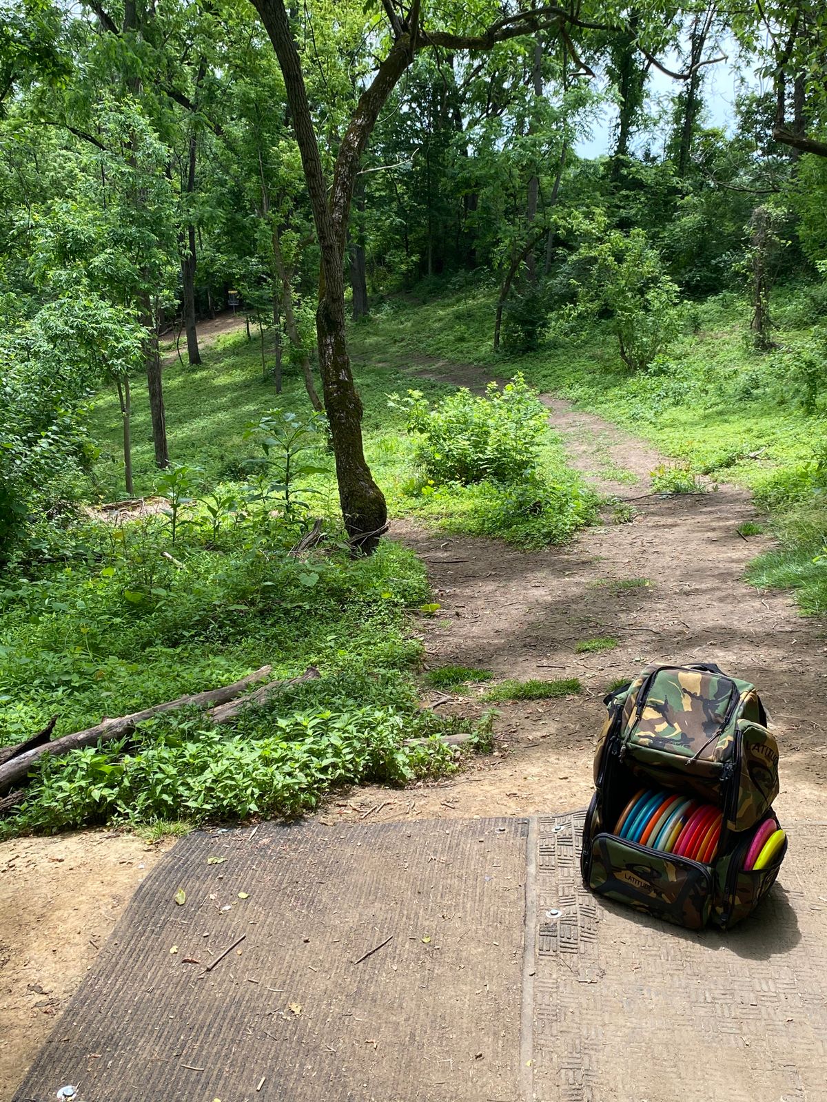Tee #16 - basket at end of path