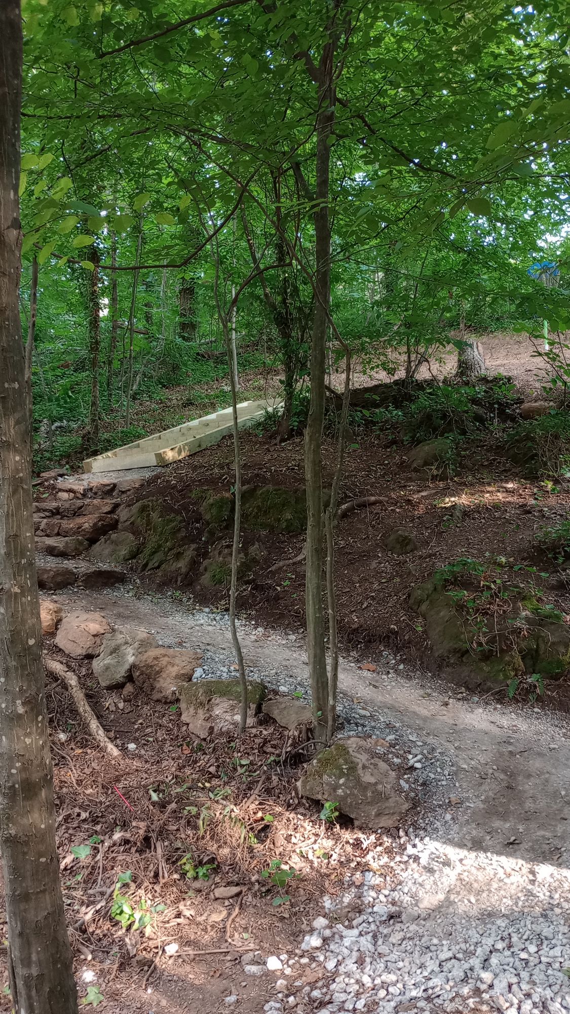 New hole 8
